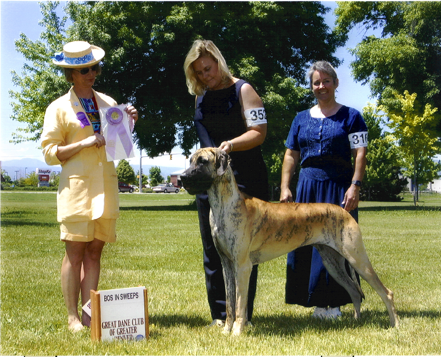 Cheri - Opposite to Best in Sweeps - GDCGD