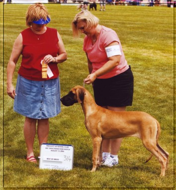 Phoenix BOB G4 match